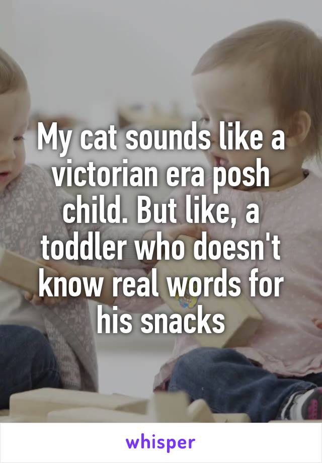 My cat sounds like a victorian era posh child. But like, a toddler who doesn't know real words for his snacks