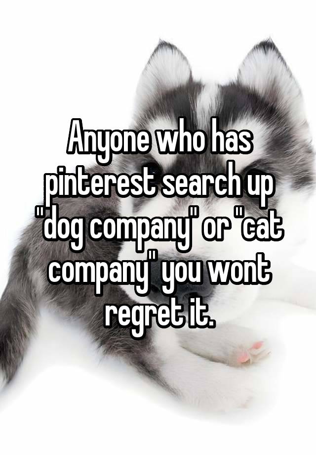 Anyone who has pinterest search up "dog company" or "cat company" you wont regret it.