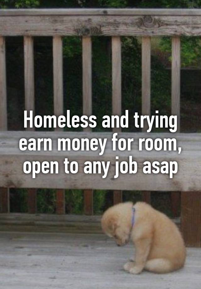 Homeless and trying earn money for room, open to any job asap