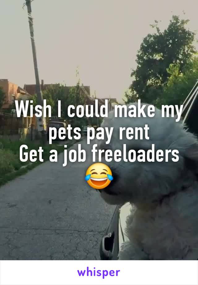 Wish I could make my pets pay rent
Get a job freeloaders 😂