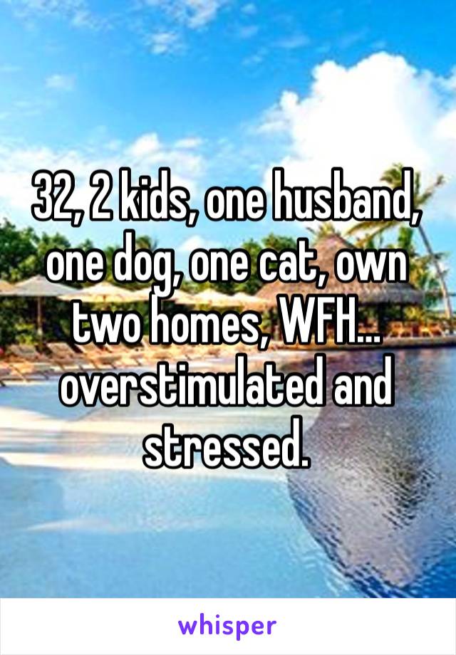 32, 2 kids, one husband, one dog, one cat, own two homes, WFH… overstimulated and stressed.