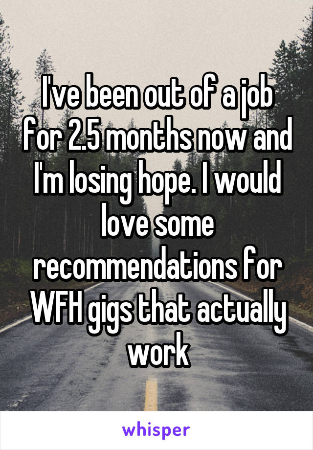 I've been out of a job for 2.5 months now and I'm losing hope. I would love some recommendations for WFH gigs that actually work