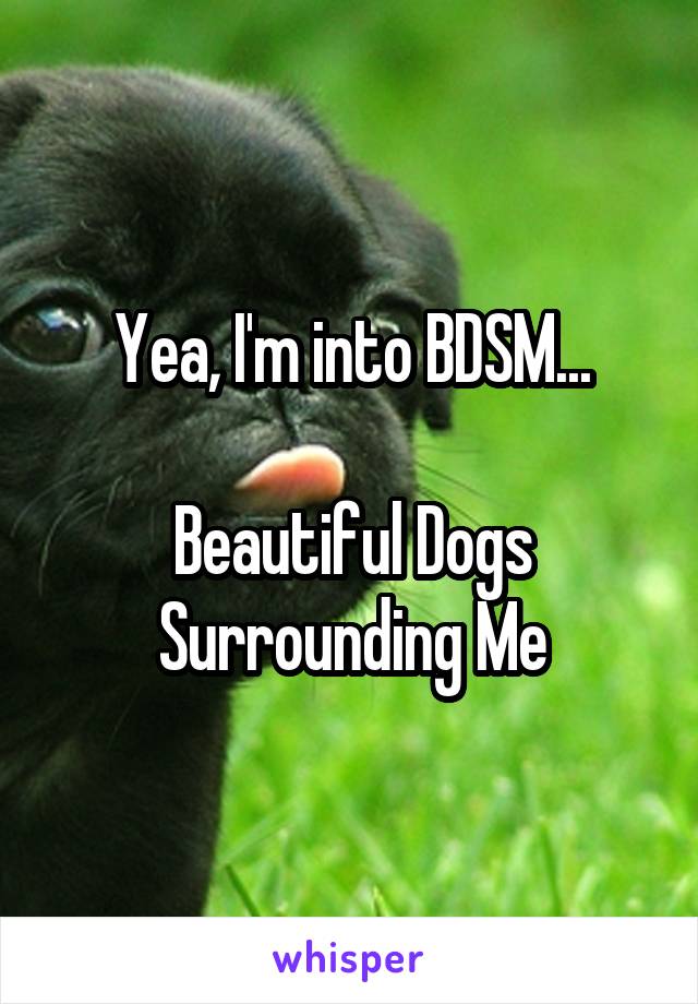 Yea, I'm into BDSM...

Beautiful Dogs
Surrounding Me