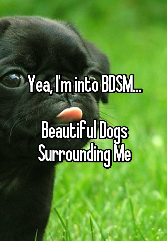 Yea, I'm into BDSM...

Beautiful Dogs
Surrounding Me