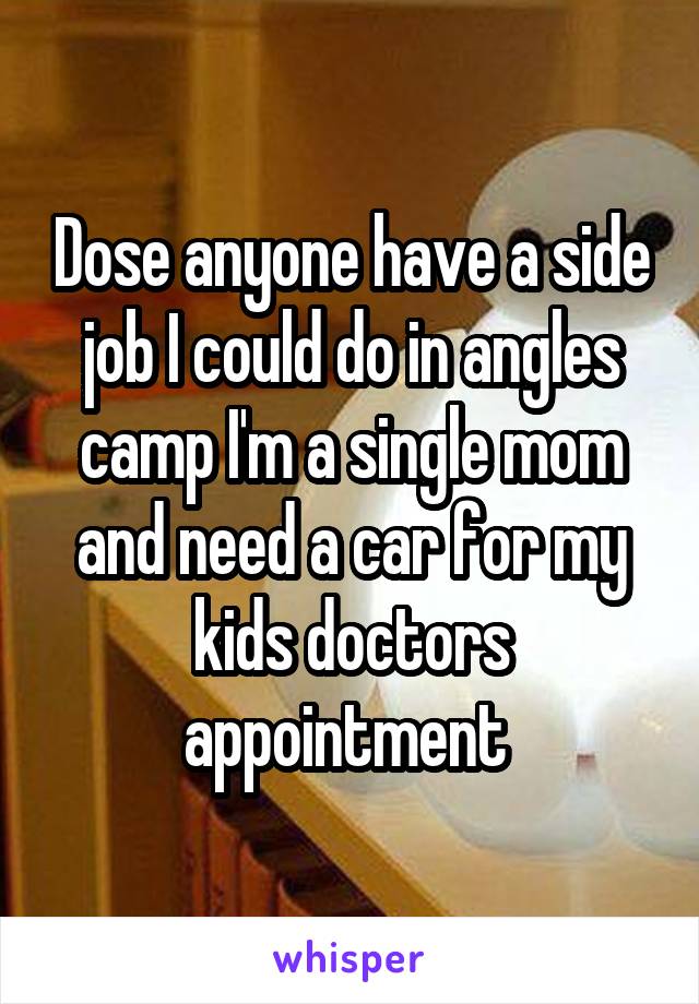 Dose anyone have a side job I could do in angles camp I'm a single mom and need a car for my kids doctors appointment 