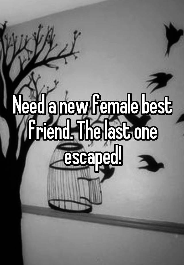 Need a new female best friend. The last one escaped!