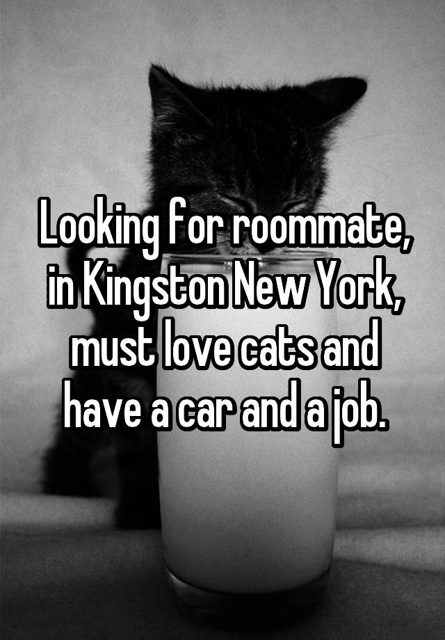 Looking for roommate, in Kingston New York, must love cats and have a car and a job.