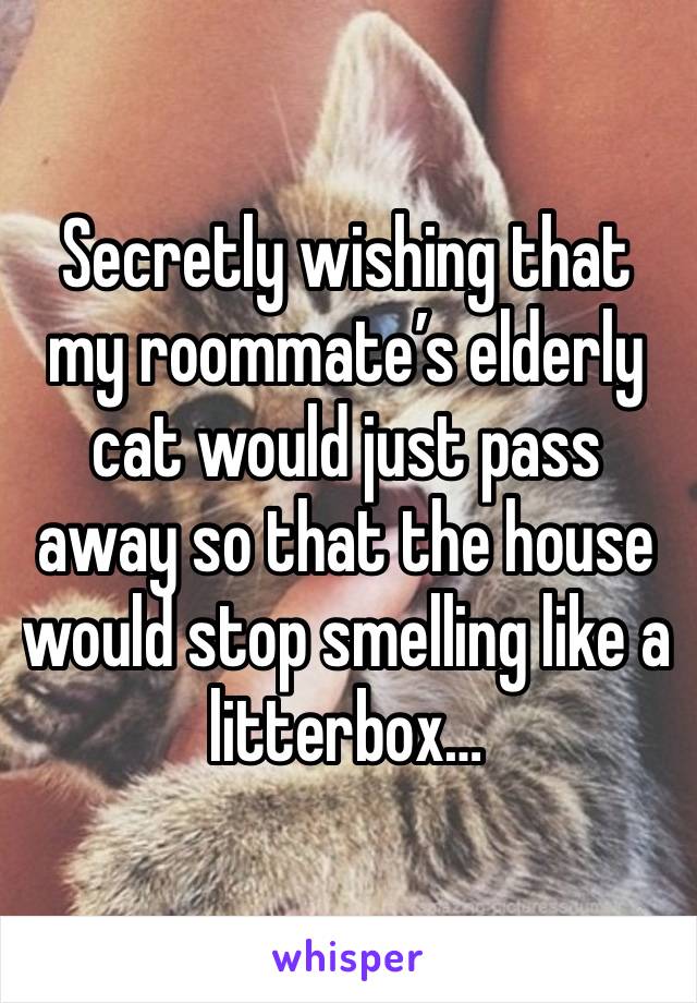 Secretly wishing that my roommate’s elderly cat would just pass away so that the house would stop smelling like a litterbox…