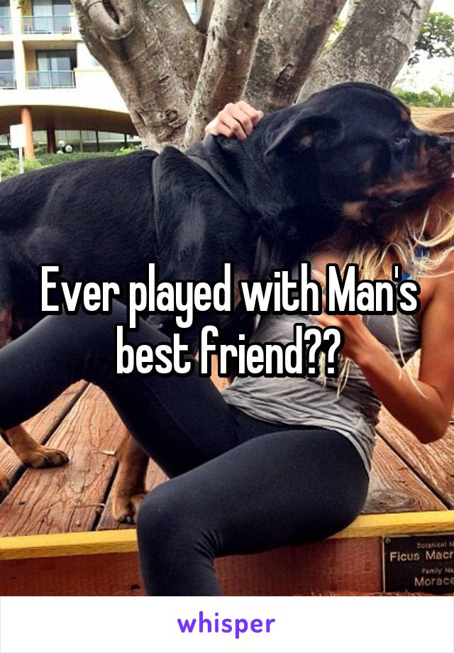 Ever played with Man's best friend??