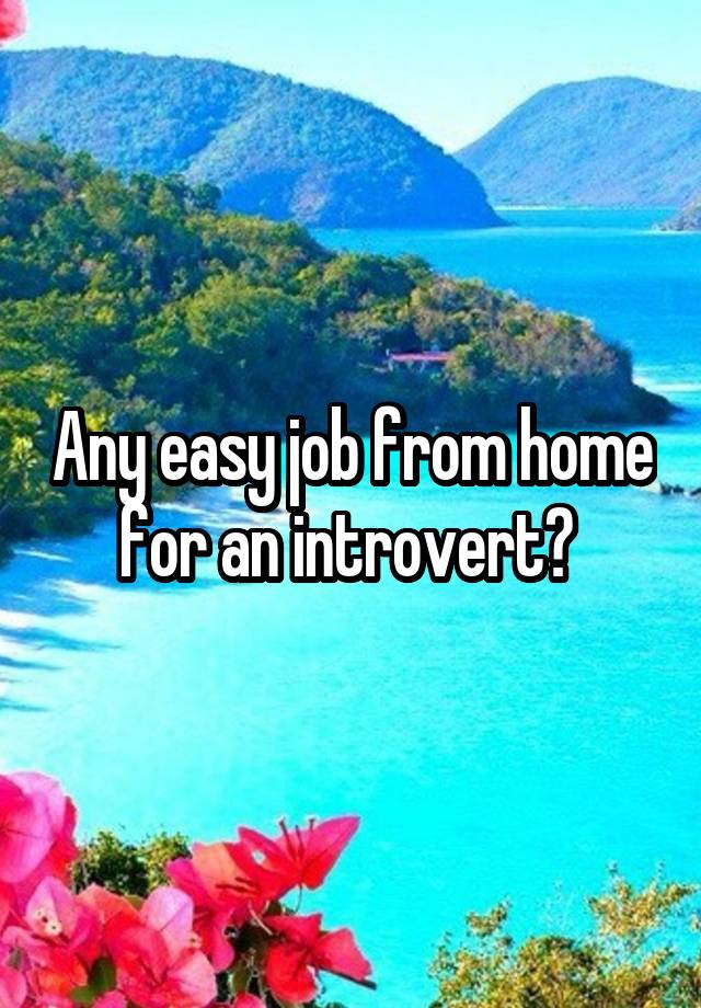 Any easy job from home for an introvert? 