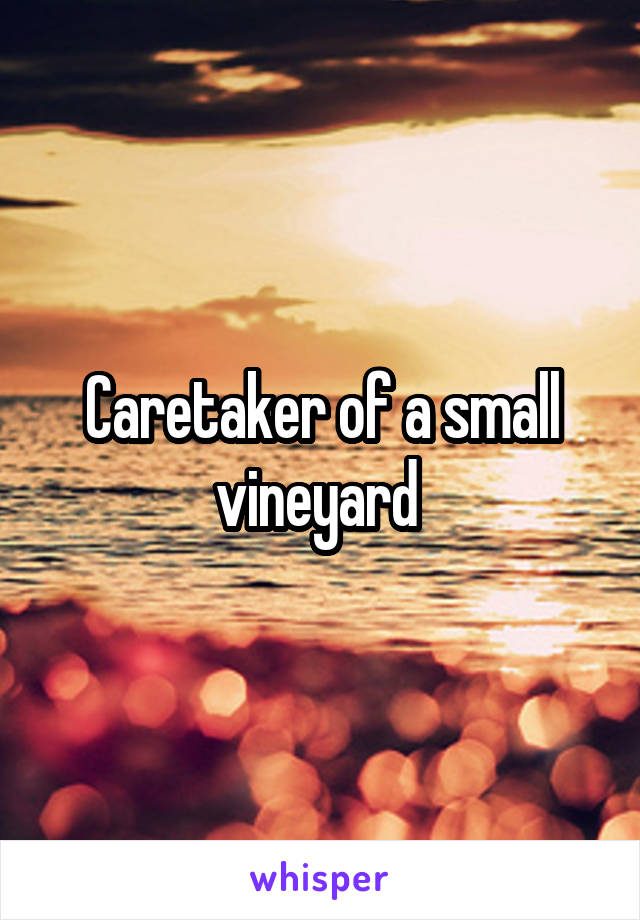 Caretaker of a small vineyard 