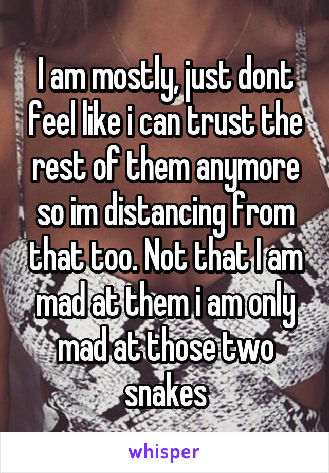 I am mostly, just dont feel like i can trust the rest of them anymore so im distancing from that too. Not that I am mad at them i am only mad at those two snakes