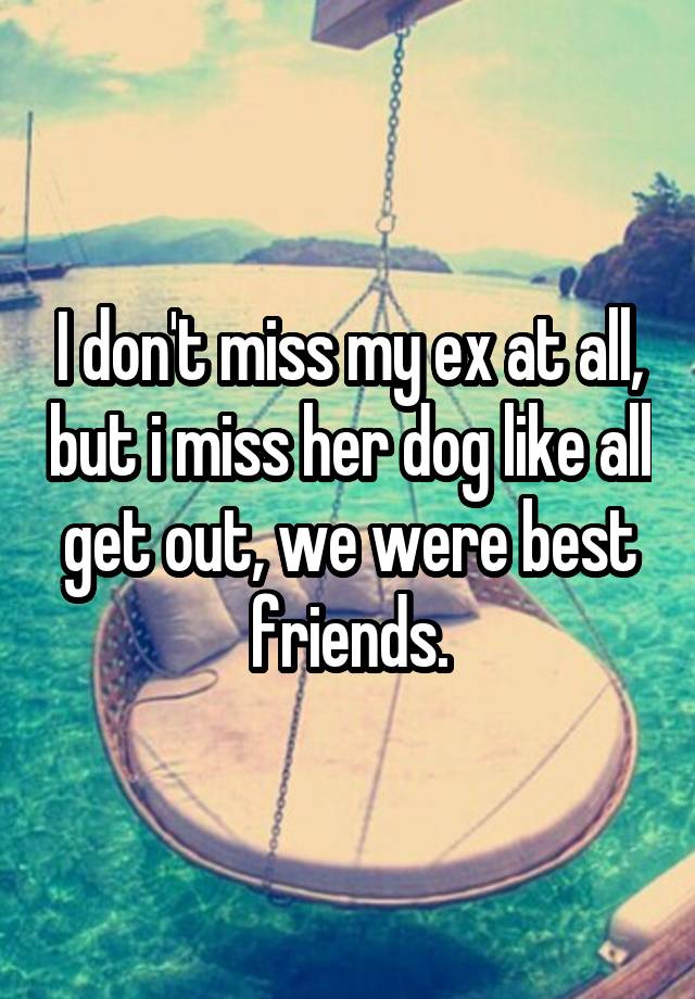 I don't miss my ex at all, but i miss her dog like all get out, we were best friends.