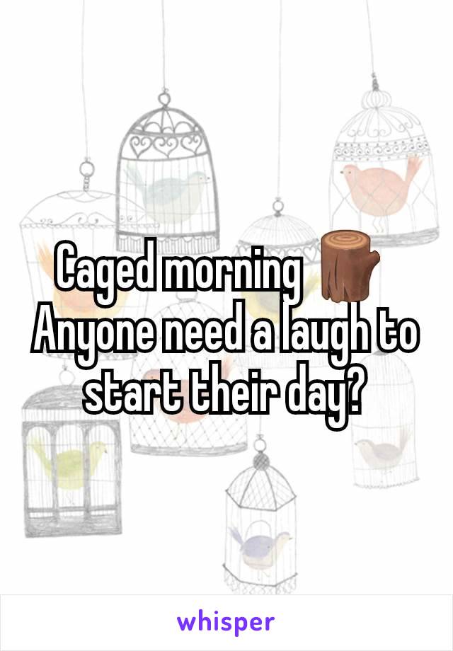 Caged morning 🪵 
Anyone need a laugh to start their day?