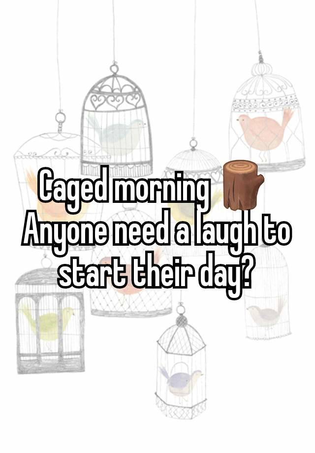 Caged morning 🪵 
Anyone need a laugh to start their day?