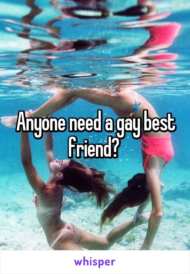 Anyone need a gay best friend? 