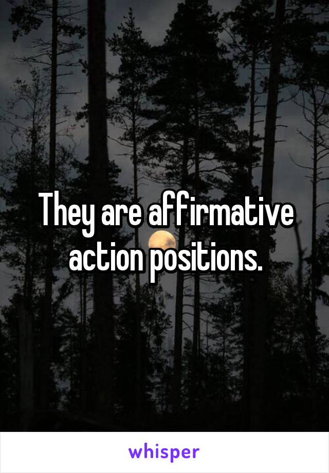 They are affirmative action positions.