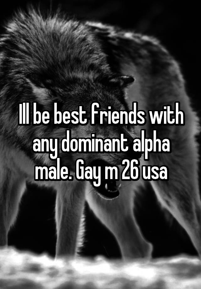 Ill be best friends with any dominant alpha male. Gay m 26 usa