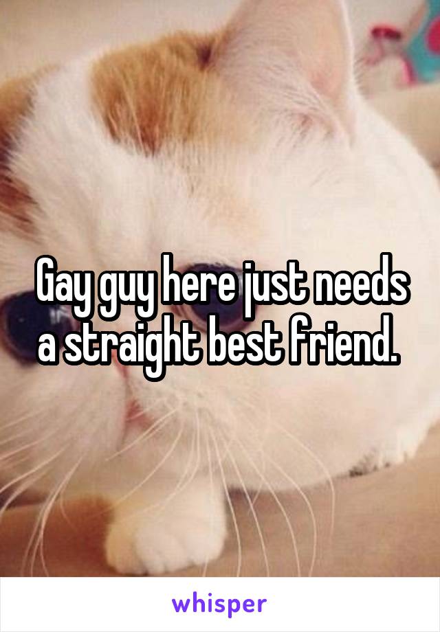 Gay guy here just needs a straight best friend. 