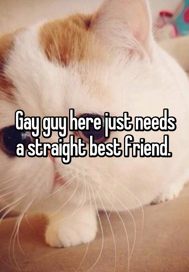 Gay guy here just needs a straight best friend. 