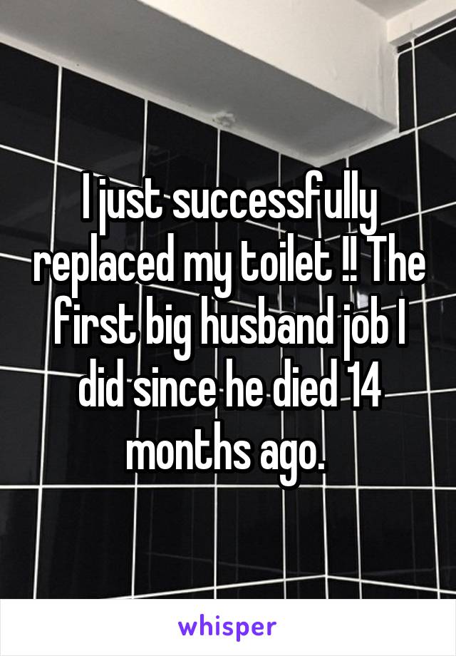 I just successfully replaced my toilet !! The first big husband job I did since he died 14 months ago. 