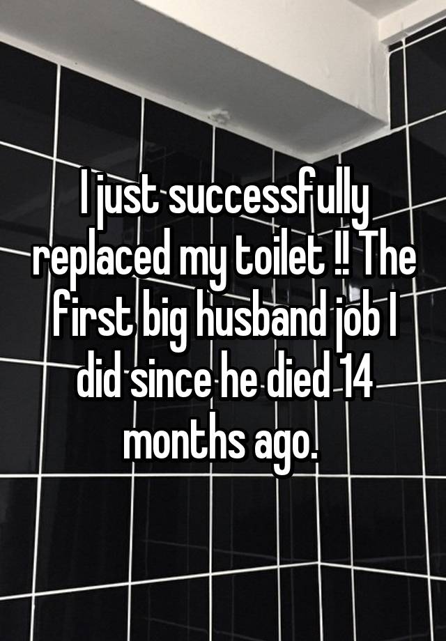 I just successfully replaced my toilet !! The first big husband job I did since he died 14 months ago. 