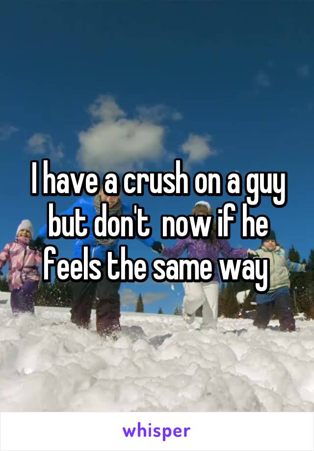 I have a crush on a guy but don't  now if he feels the same way 