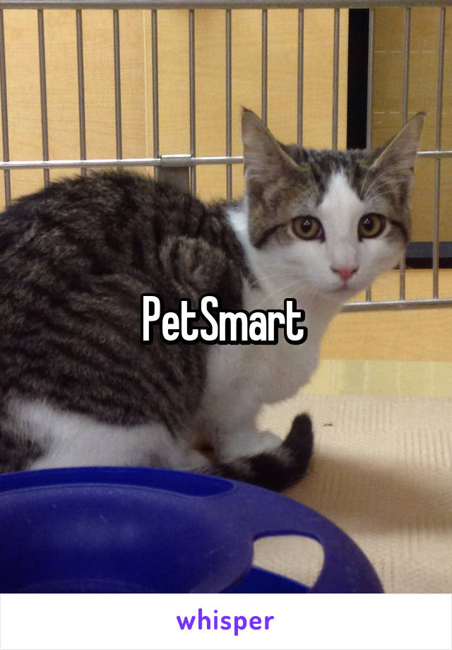 PetSmart 