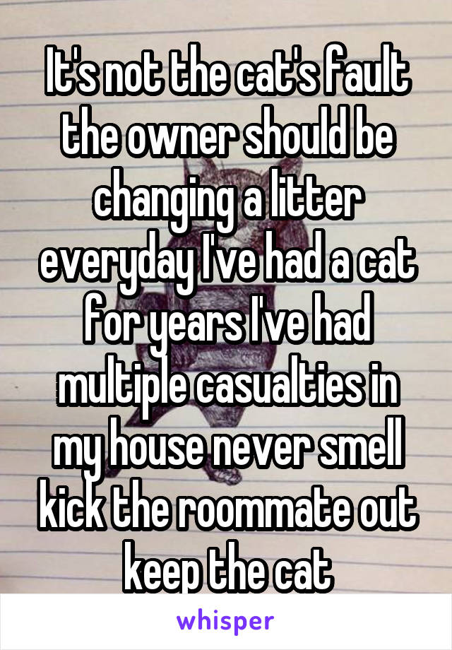 It's not the cat's fault the owner should be changing a litter everyday I've had a cat for years I've had multiple casualties in my house never smell kick the roommate out keep the cat