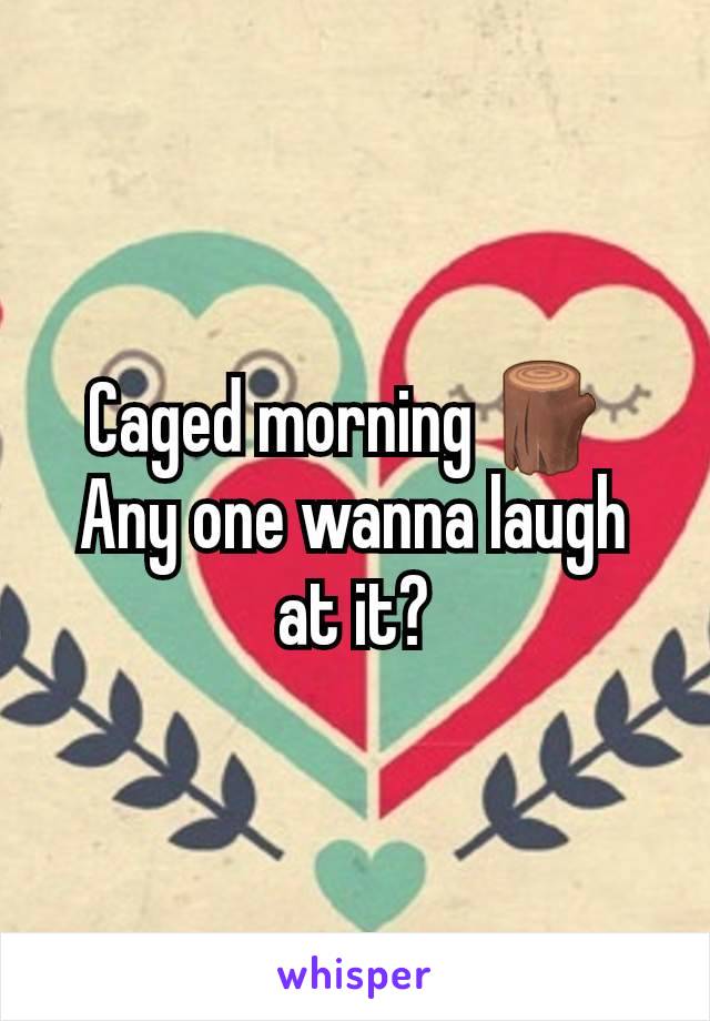 Caged morning 🪵 
Any one wanna laugh at it?