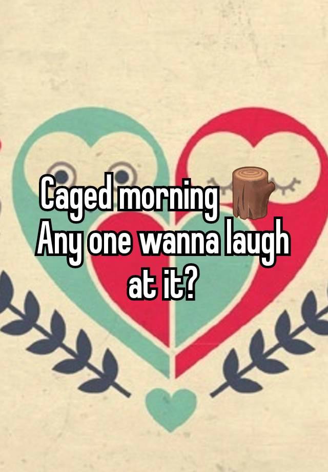 Caged morning 🪵 
Any one wanna laugh at it?