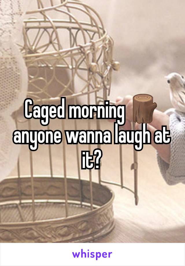 Caged morning 🪵 anyone wanna laugh at it?