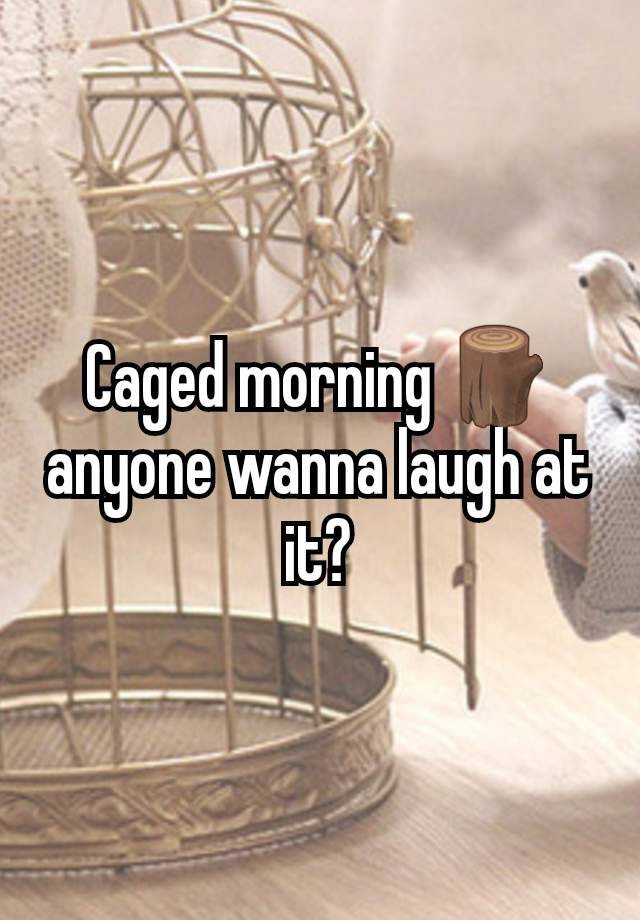 Caged morning 🪵 anyone wanna laugh at it?