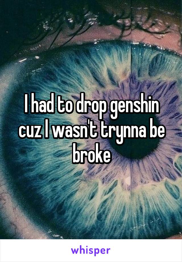 I had to drop genshin cuz I wasn't trynna be broke