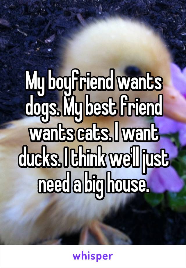 My boyfriend wants dogs. My best friend wants cats. I want ducks. I think we'll just need a big house.