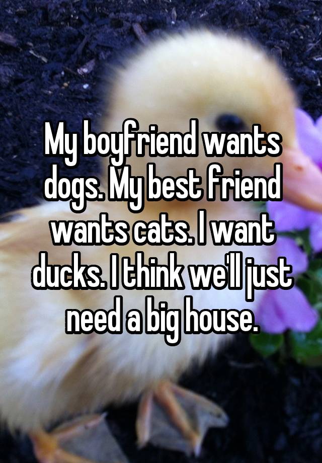 My boyfriend wants dogs. My best friend wants cats. I want ducks. I think we'll just need a big house.