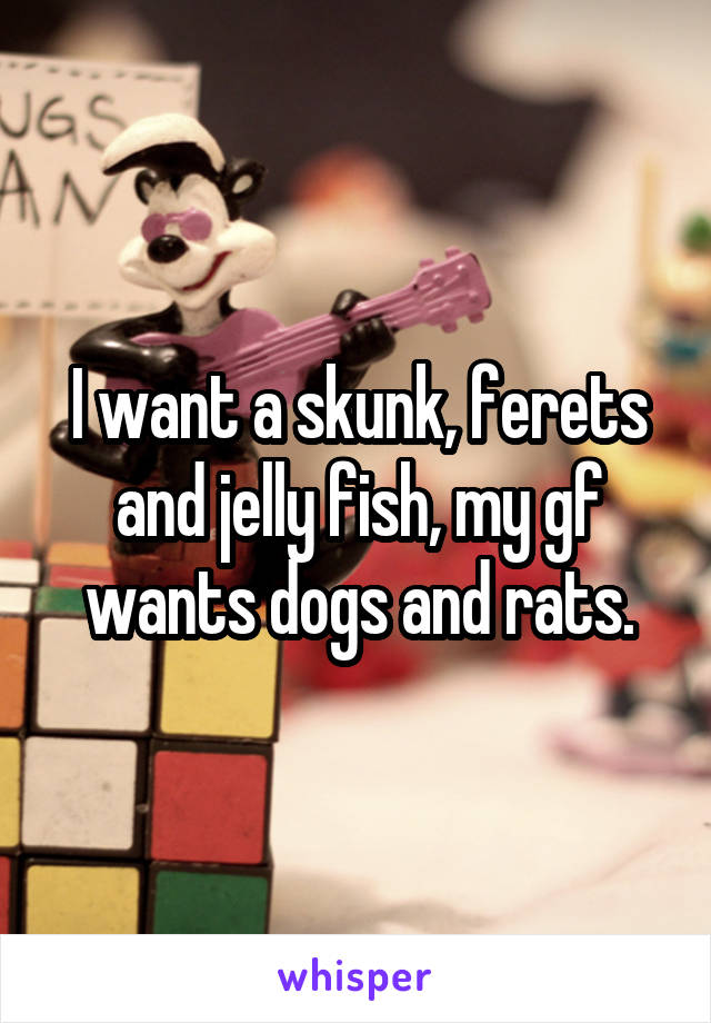 I want a skunk, ferets and jelly fish, my gf wants dogs and rats.