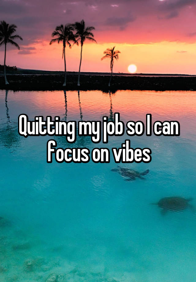 Quitting my job so I can focus on vibes