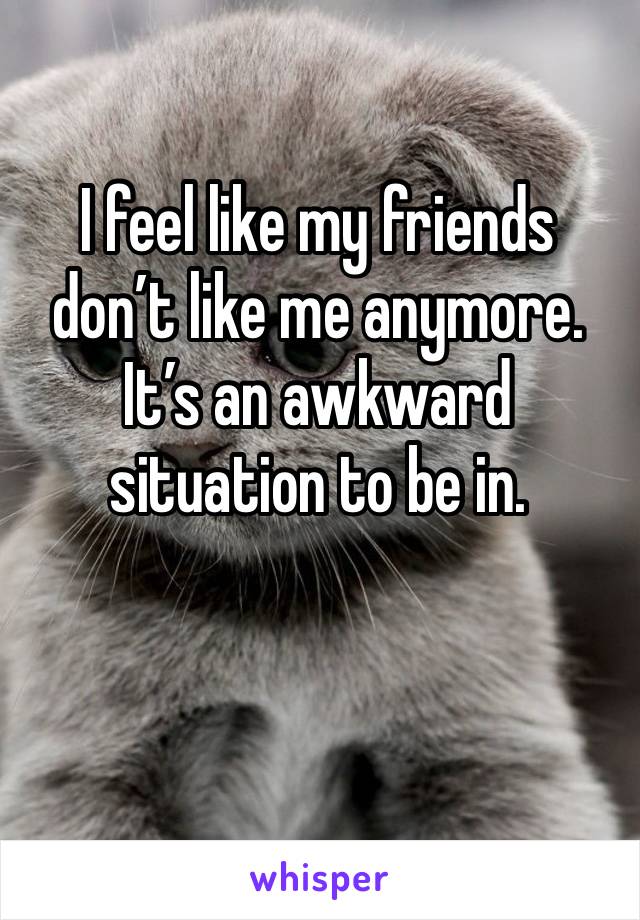 I feel like my friends don’t like me anymore. 
It’s an awkward situation to be in. 