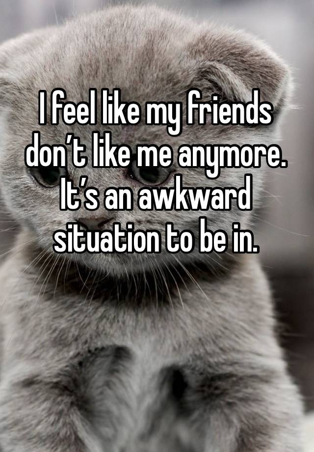 I feel like my friends don’t like me anymore. 
It’s an awkward situation to be in. 