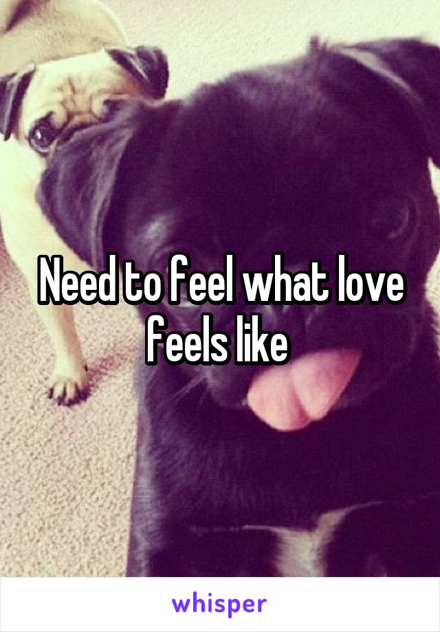 Need to feel what love feels like 