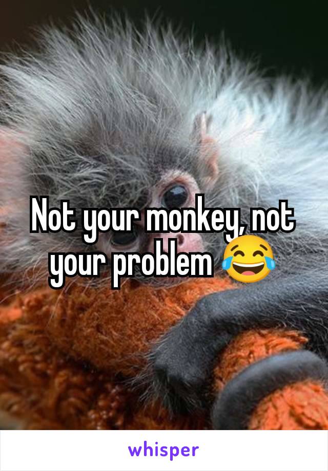 Not your monkey, not your problem 😂