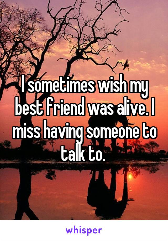 I sometimes wish my best friend was alive. I miss having someone to talk to. 