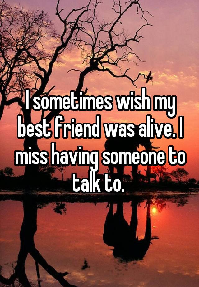 I sometimes wish my best friend was alive. I miss having someone to talk to. 