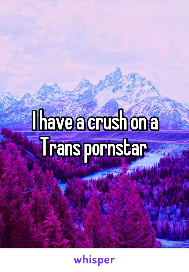 I have a crush on a Trans pornstar 