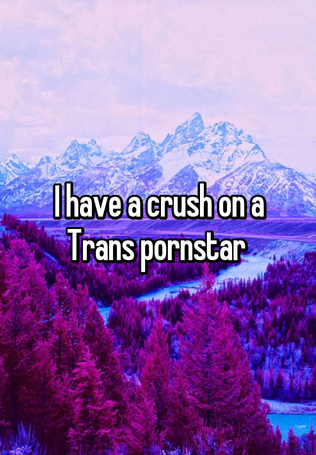 I have a crush on a Trans pornstar 