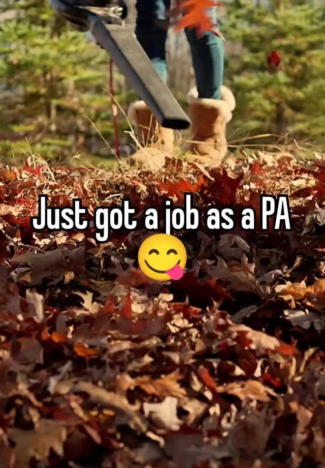 Just got a job as a PA 😋