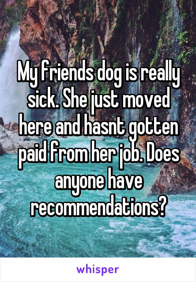 My friends dog is really sick. She just moved here and hasnt gotten paid from her job. Does anyone have recommendations?