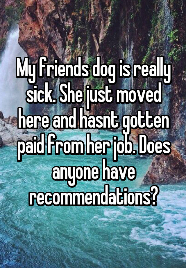 My friends dog is really sick. She just moved here and hasnt gotten paid from her job. Does anyone have recommendations?