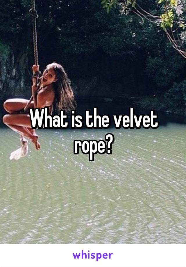 What is the velvet rope?